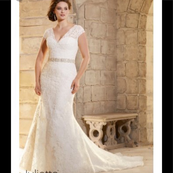 Venus bridals 🦋🦋🦋🦋🦋 - Picture 1 of 7